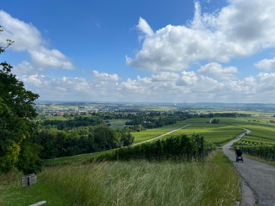 Wanderung im Ländle,
23. Juni 2024